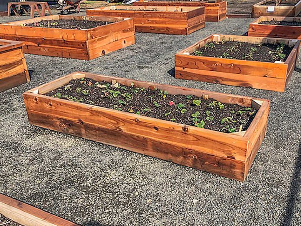 Redwood vegetable garden planter plan details
